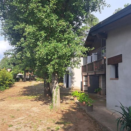 La Casa Del Pi Appartement El Pi de Sant Just Buitenkant foto